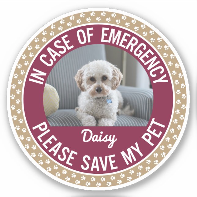 Pet Safety Alert with Changeable Colors Sticker (Front)