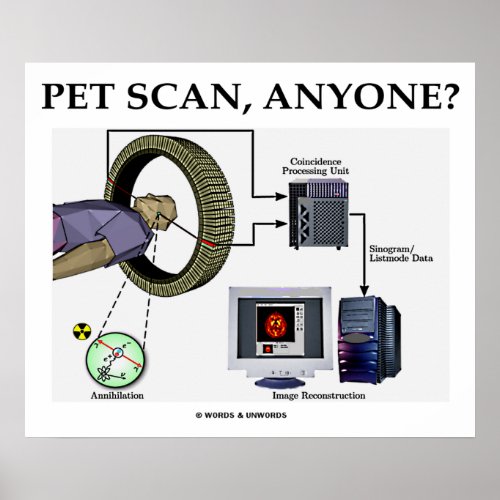 PET Scan Anyone Positron Emission Tomography Poster