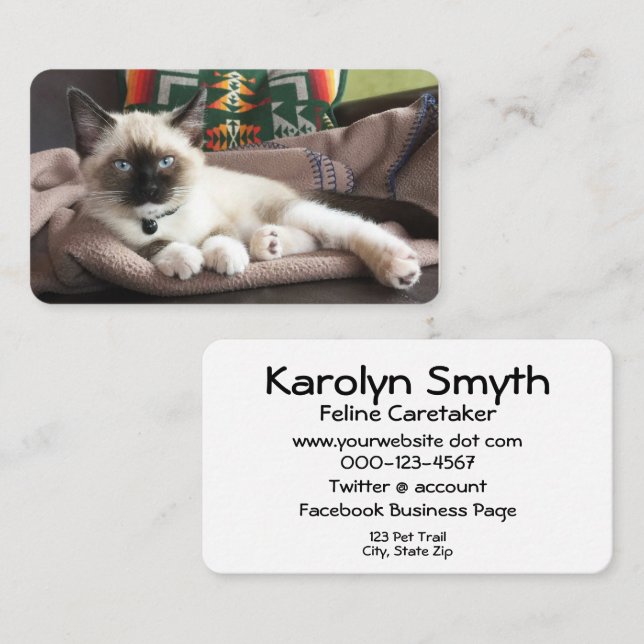Pet Service Glamorous Kitten Photograph Template Business Card (Front/Back)
