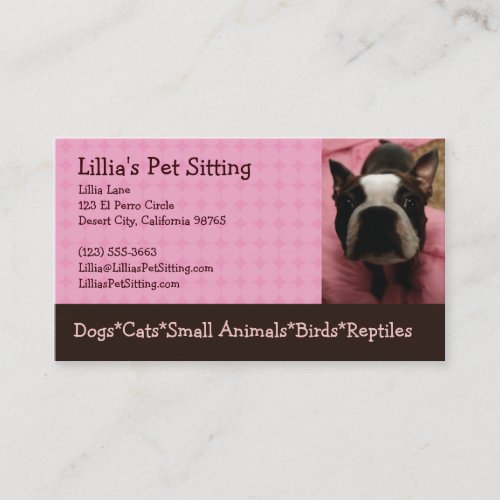 Pet Sitter Boston Terrier Business Cards