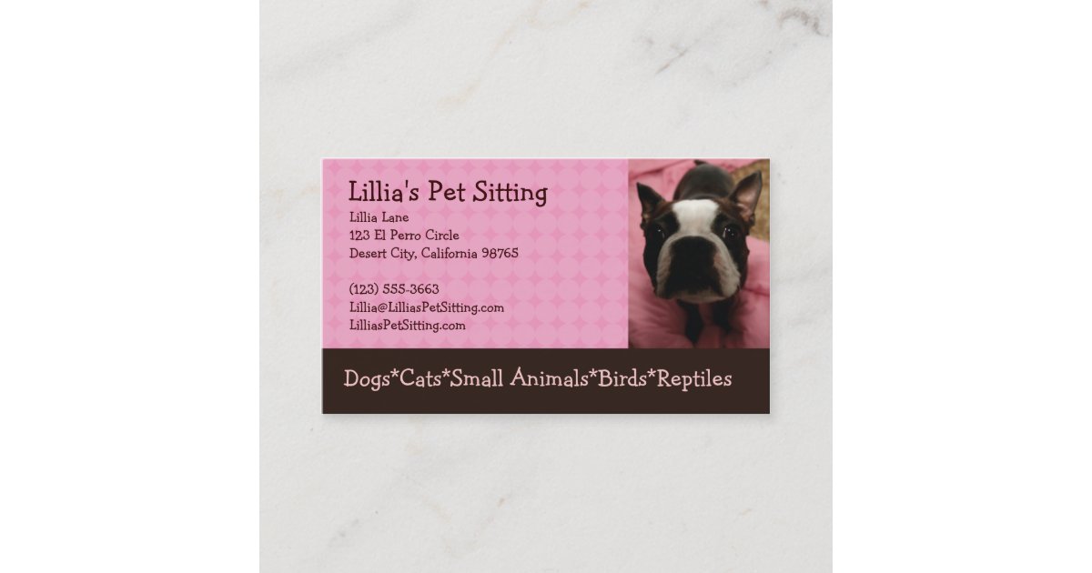 Pet Sitter Boston Terrier Business Card Zazzle
