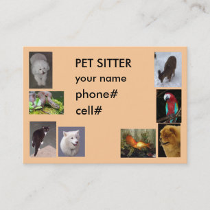 PET SITTER BUSINESS CARD