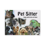 Pet Sitter Business Card Pet Sitter Business Card