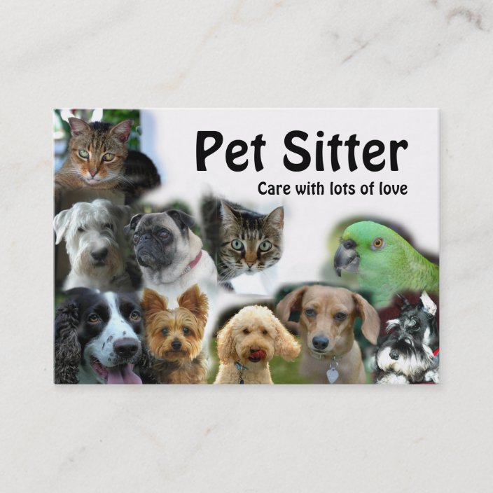 pet-sitter-business-card-zazzle