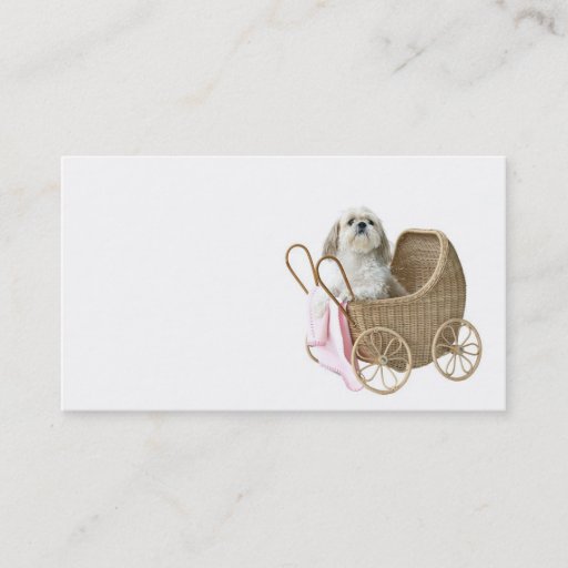 Customizable Pet sitter business card