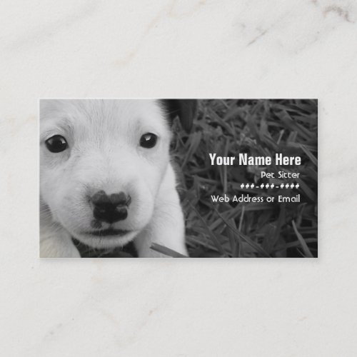 Pet Sitter Business Card - Jack Russell Puppy