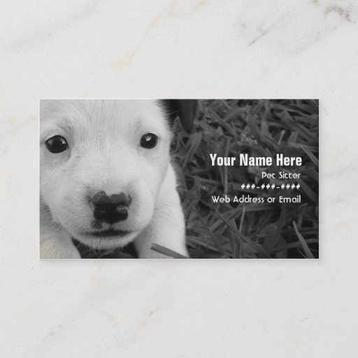 Customizable Pet Sitter Business Card - Jack Russell Puppy