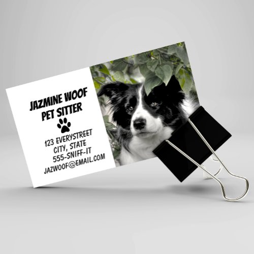 Pet Sitter Dog Walker Business Card