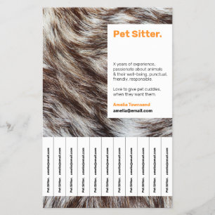 Pet Sitter Flyers Dog Walker Animal Care Sitting