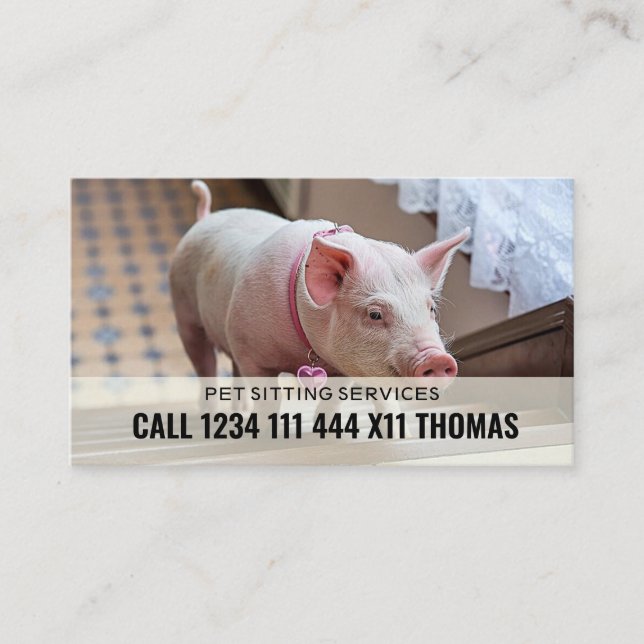 Pet Sitter Service Business Card (Front)