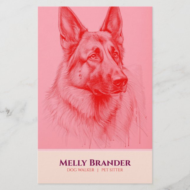 Pet Sitter Walker  Flyer (Front)