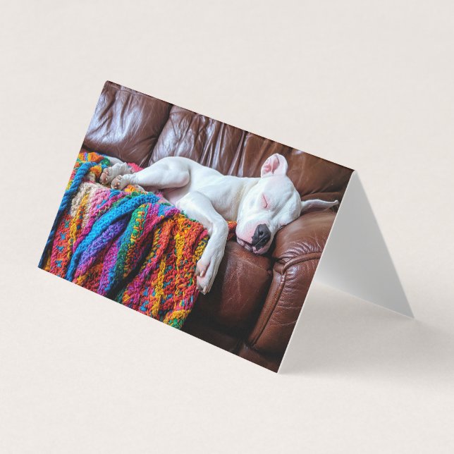 Pet Sitting Business Dog Sleeping on the Couch Business Card (Front)