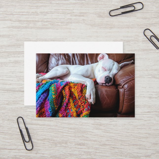 Pet Sitting Business Dog Sleeping on the Couch Card (Front/Back In Situ)