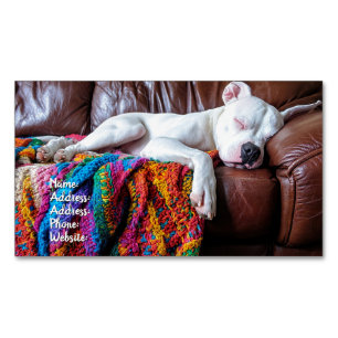 Pet Sitting Business Dog Sleeping on the Couch Card Magnet