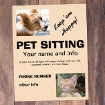 Pet Sitting dog and cat flyer<br><div class="desc">Pet sitting flyer to promote your pet care business. Photo of cute dog and cat gets people's attention. Customize all text to your own information. For any pet related business: pet sitting, grooming, boarding, etc. Please contact me at the "created by" link below if you would like assistance with customization....</div>