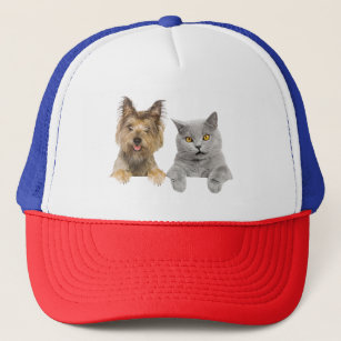 Pet sitting Dog–cat relationship Dog Trucker Hat