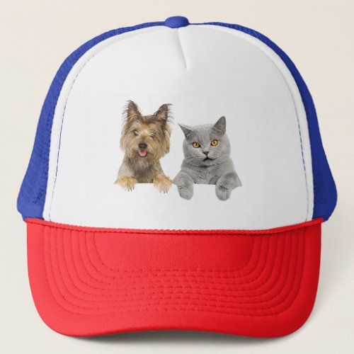 Pet sitting Dogcat relationship Dog Trucker Hat