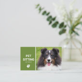 Pet Sitting Dog Service Happy Sheltie Dog Photo Business Card (Standing Front)