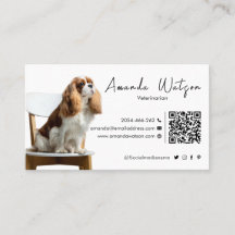 Pet Sitting, Pet Shop, veterinary clinic, Pet care