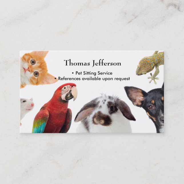 Pet Sitting Service  Business Card (Front)