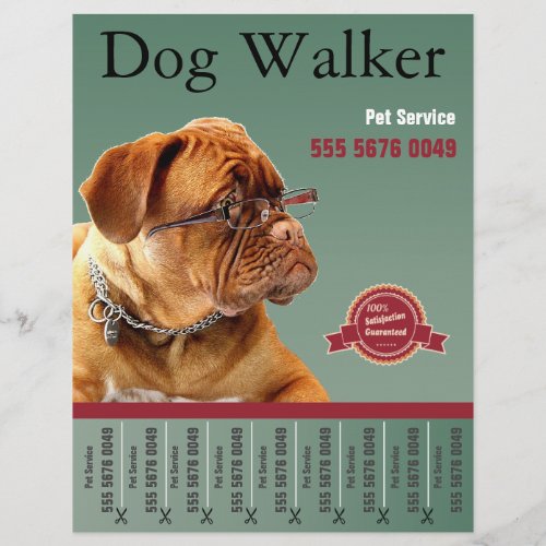 Pet Sitting Service Dog Walker Business Flyer Ad