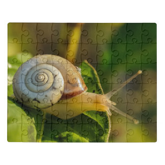 Pet Snail on a Green Leaf Nature Gardening Jigsaw Puzzle