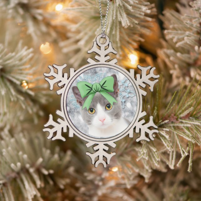 Pet Snowflake Framed Ornament (Tree)