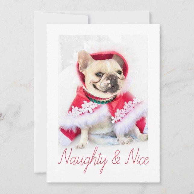 Pet Star | Naughty & Nice Custom Pet Dog Photo Holiday Card (Front)