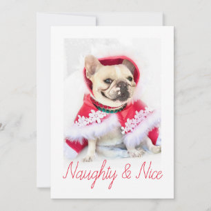Pet Star Naughty & Nice Custom Pet Dog Photo Holiday Card