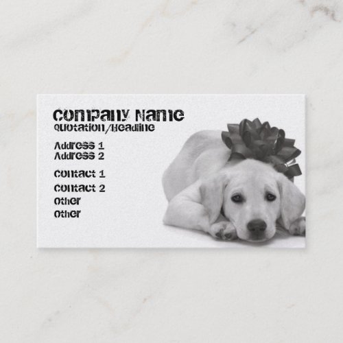 Pet Supply/Groomer/Etc. Business Cards