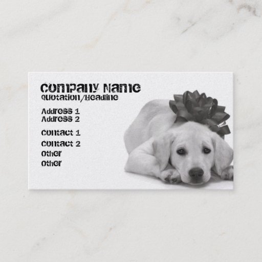 Customizable Pet Supply/Groomer/Etc. Business Cards