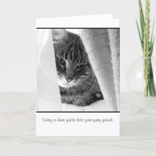 pet sympathy card