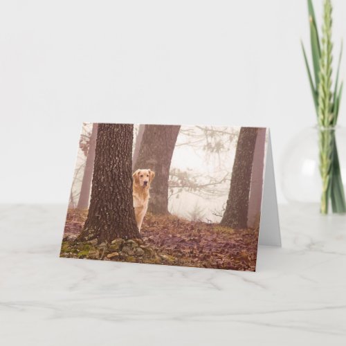 Pet Sympathy Card