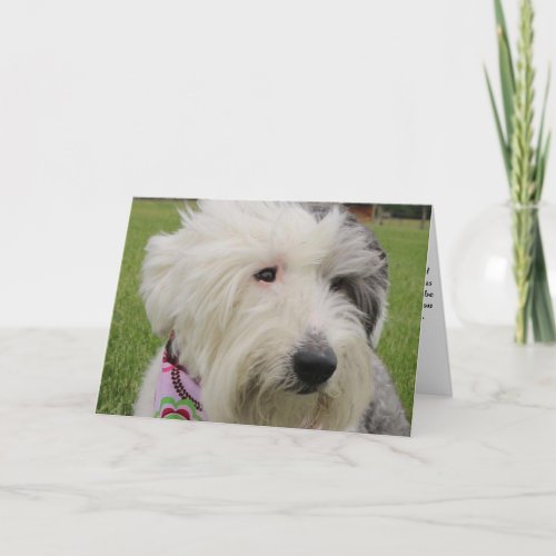 Pet Sympathy Card Card