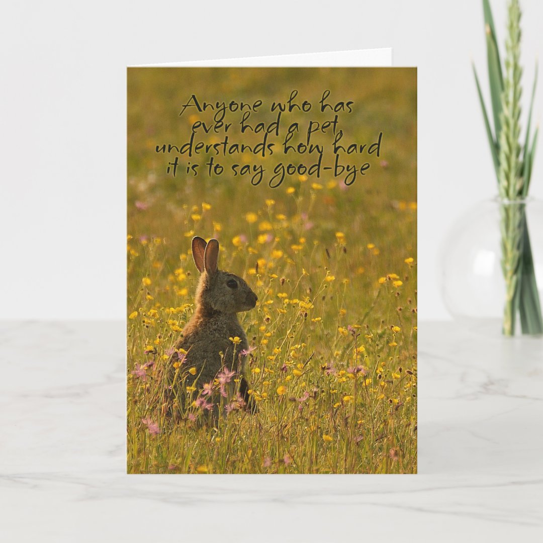 Pet Sympathy Card - Loss Of Pet Rabbit | Zazzle