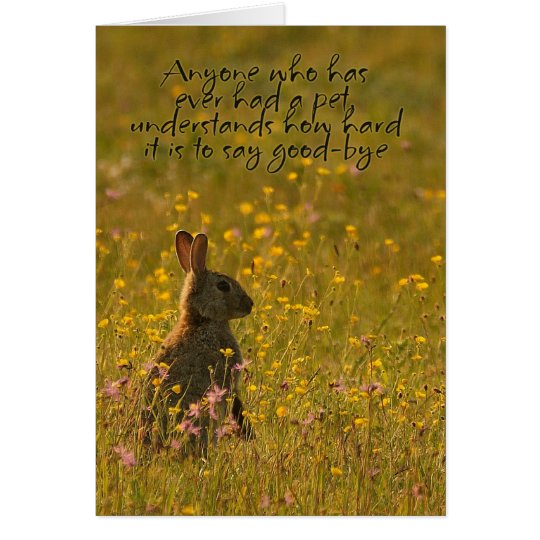 Pet Sympathy Card Loss Of Pet Rabbit Zazzle