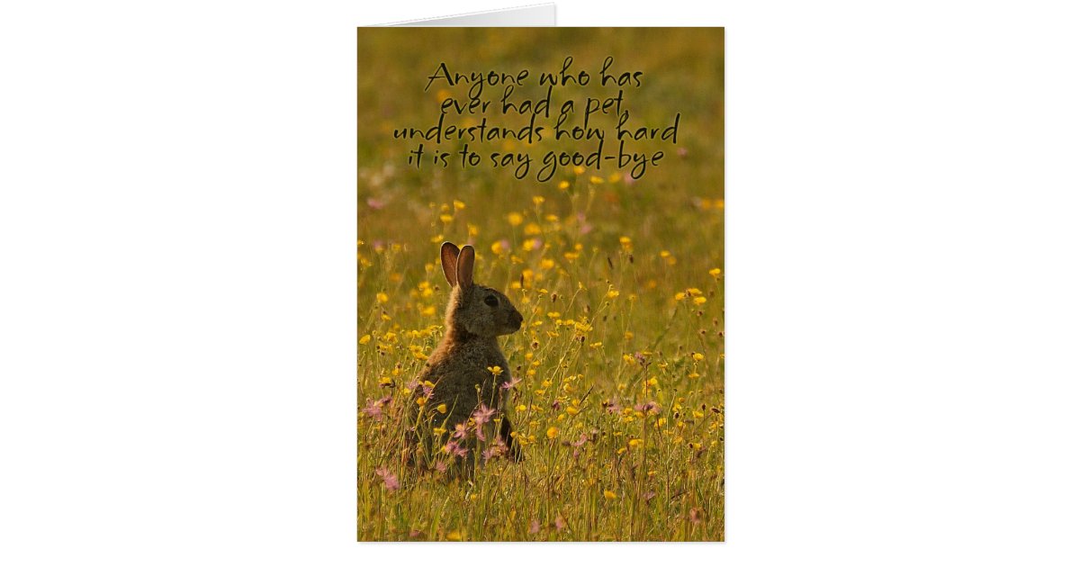 Pet Sympathy Card - Loss Of Pet Rabbit | Zazzle