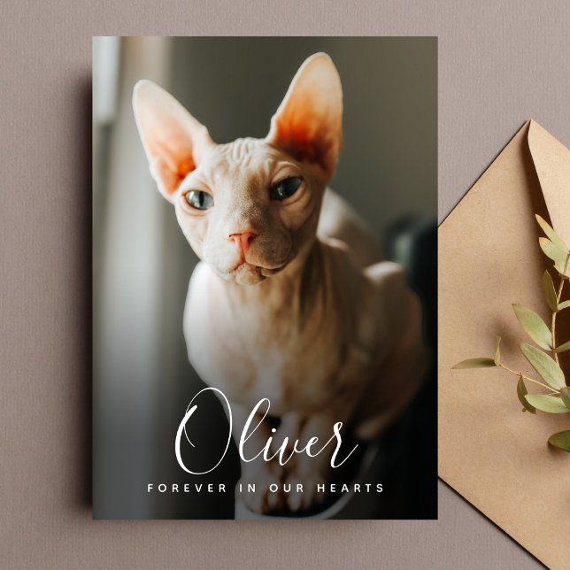 Pet Sympathy Card Memorial  (Pet Photo Sympathy Card)