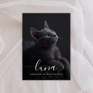 Pet Sympathy Card Memorial