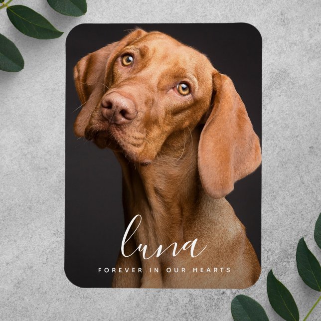 Pet Sympathy Card Memorial Tribute Magnet (Pet Photo Memorial Magnet)