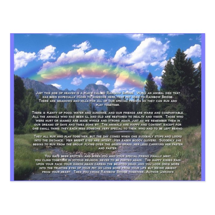 Pet Sympathy Card Rainbow Bridge | Zazzle