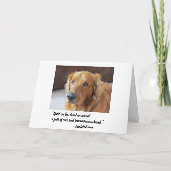 Pet Sympathy Card Until One Has Loved An Animal by JustLoveRescues at Zazzle