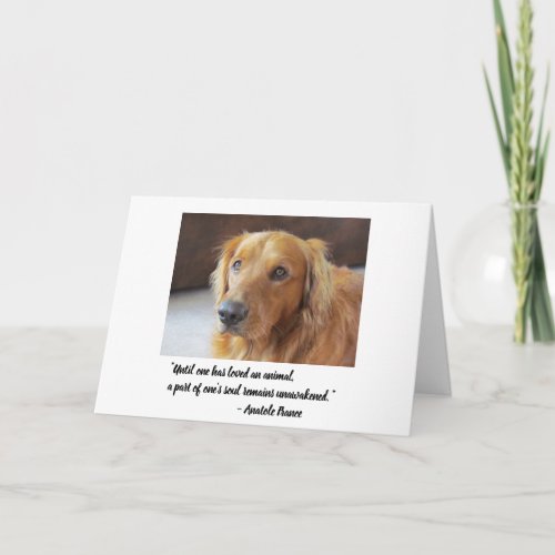 Pet Sympathy Card Until One has Loved an Animal