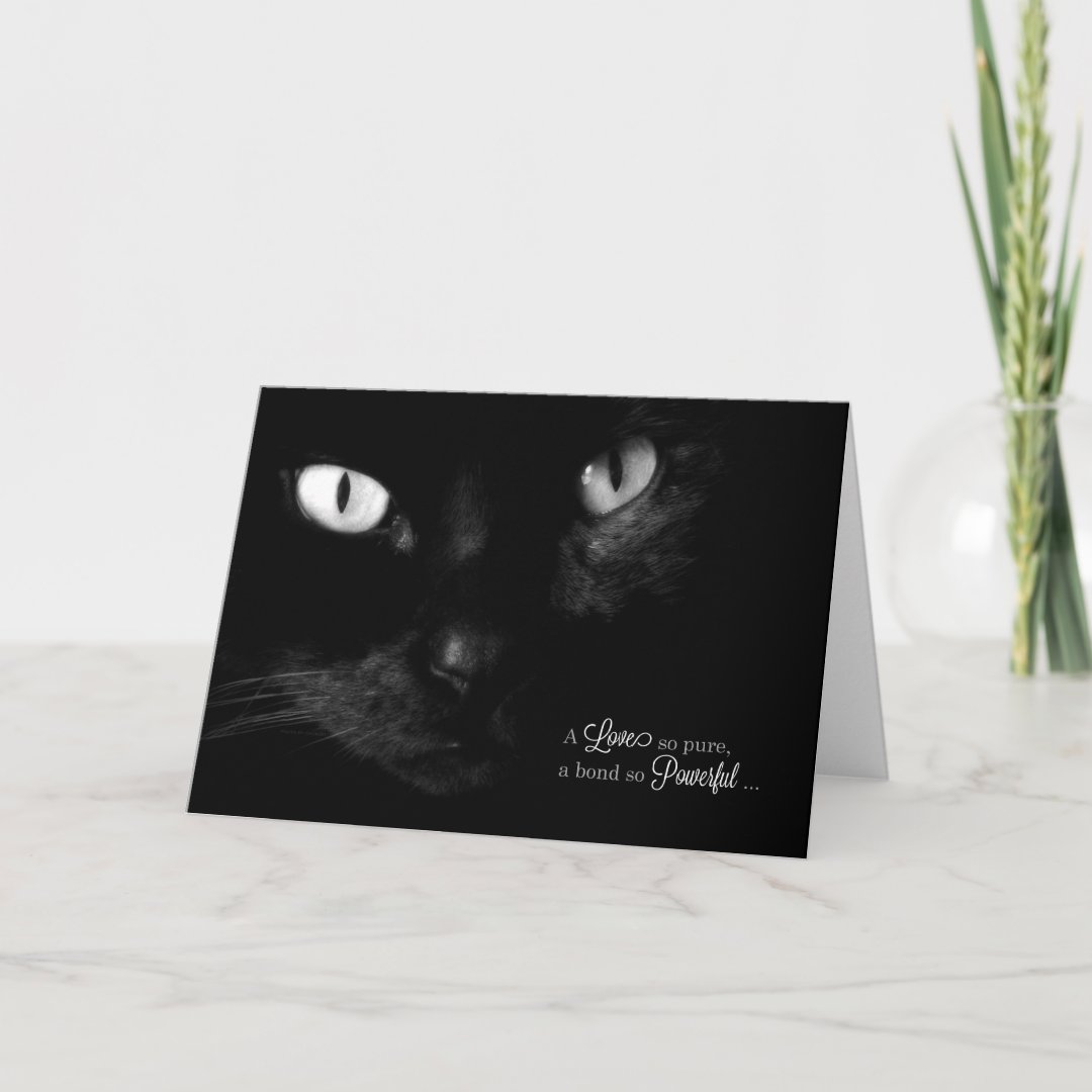 Pet Sympathy for Loss of a Cat - Black Cat Card | Zazzle