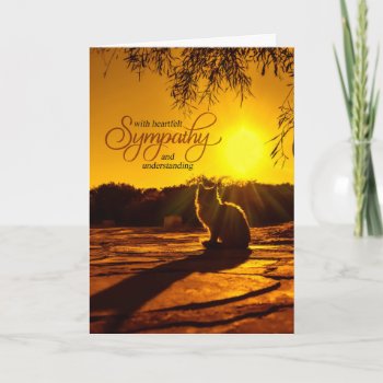 Pet Sympathy For Loss Of A Cat Late Afternoon Sun Card by PAWSitivelyPETs at Zazzle
