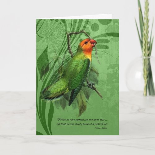 Pet Sympathy Loss of a Bird Lovebird Card