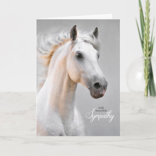 Pet Sympathy Loss of a Horse White Horse Card