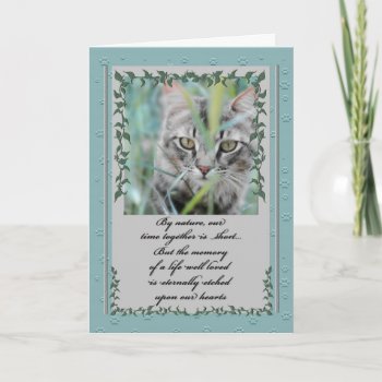 Pet Sympathy Loss Of Cat Tabby In The Grass Card by PAWSitivelyPETs at Zazzle