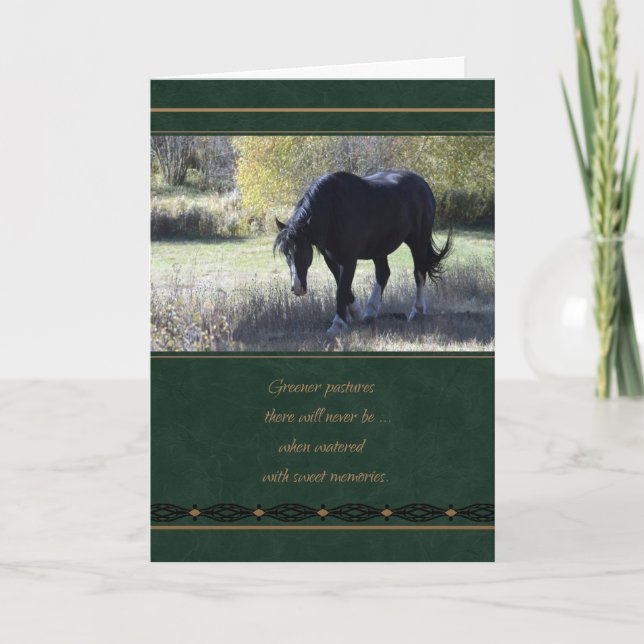 Pet Sympathy Loss of Horse Card (Front)