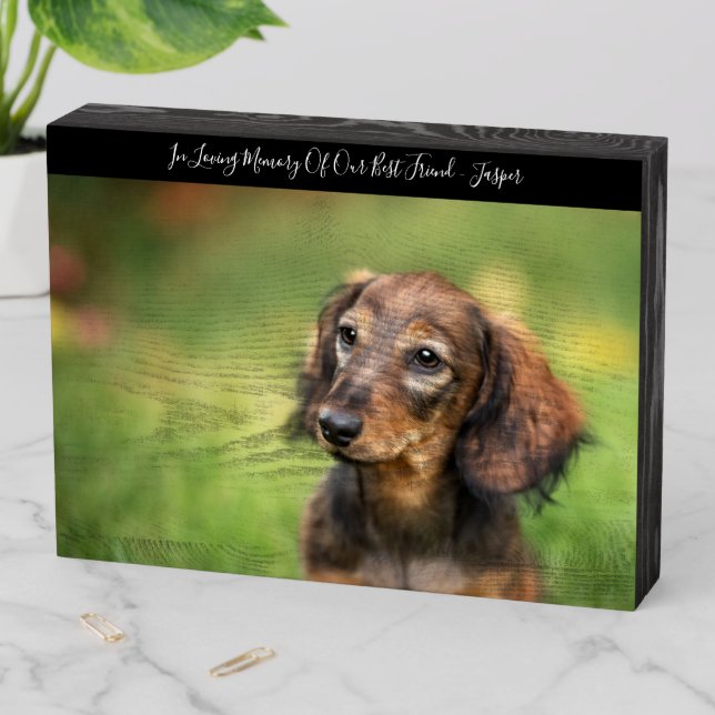 Pet Sympathy Memory Keepsake Wooden Box Sign (In Situ Horizontal)